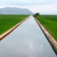 Besichtigung von Valencia und dem Naturpark Albufera